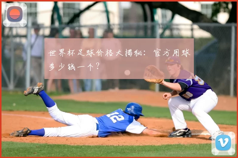 世界杯足球价格大揭秘:官方用球多少钱一个?