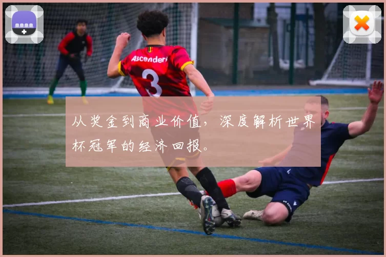 从奖金到商业价值,深度解析世界杯冠军的经济回报。