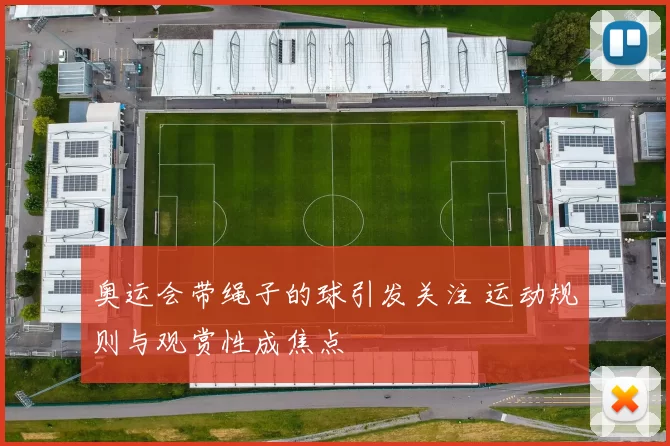 奥运会带绳子的球引发关注 运动规则与观赏性成焦点