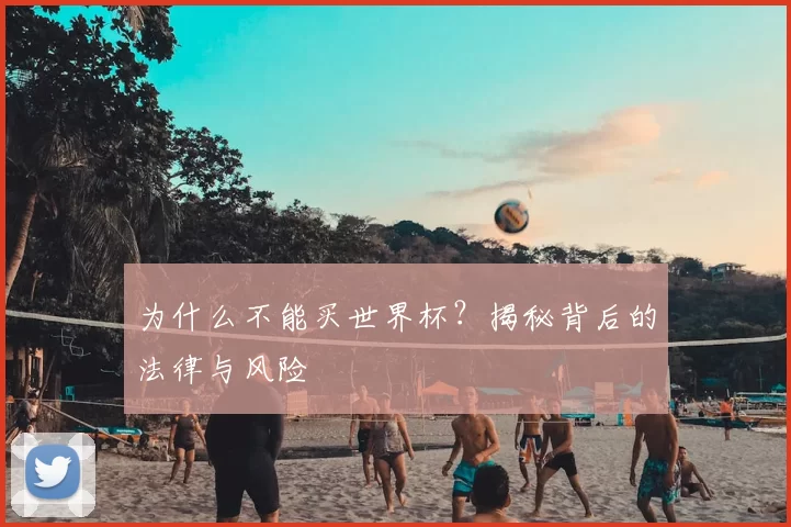 为什么不能买世界杯？揭秘背后的法律与风险