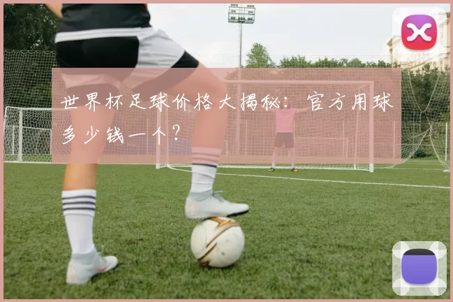 世界杯足球价格大揭秘:官方用球多少钱一个?