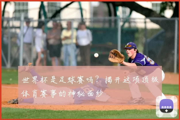 世界杯是足球赛吗？揭开这项顶级体育赛事的神秘面纱