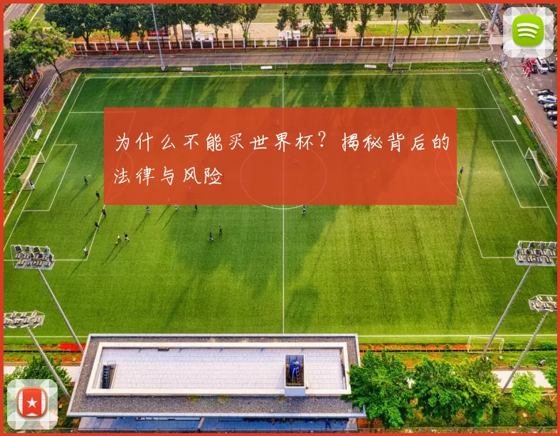 为什么不能买世界杯?揭秘背后的法律与风险