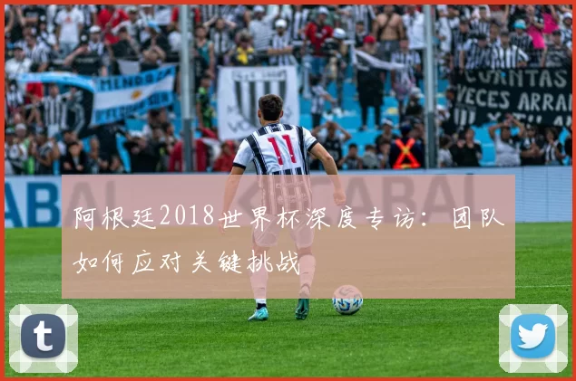 阿根廷2018世界杯深度专访：团队如何应对关键挑战