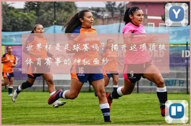 世界杯是足球赛吗?揭开这项顶级体育赛事的神秘面纱