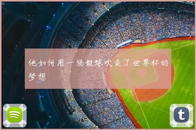 他如何用一场假球吹走了世界杯的梦想