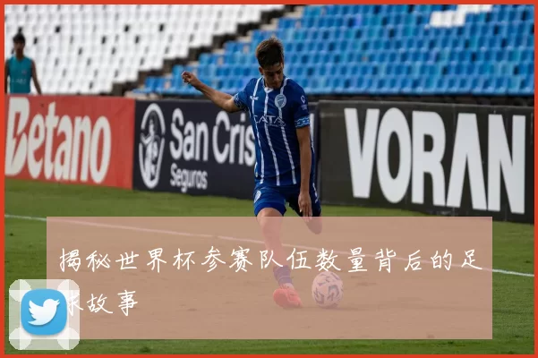 揭秘世界杯参赛队伍数量背后的足球故事