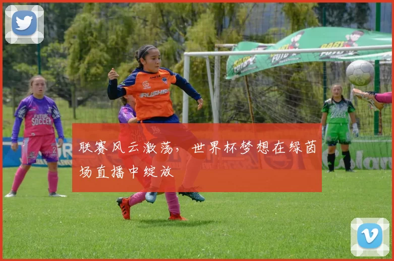 联赛风云激荡，世界杯梦想在绿茵场直播中绽放