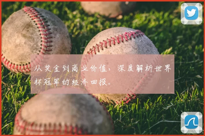 从奖金到商业价值，深度解析世界杯冠军的经济回报。