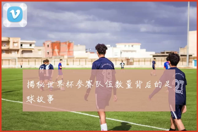 揭秘世界杯参赛队伍数量背后的足球故事